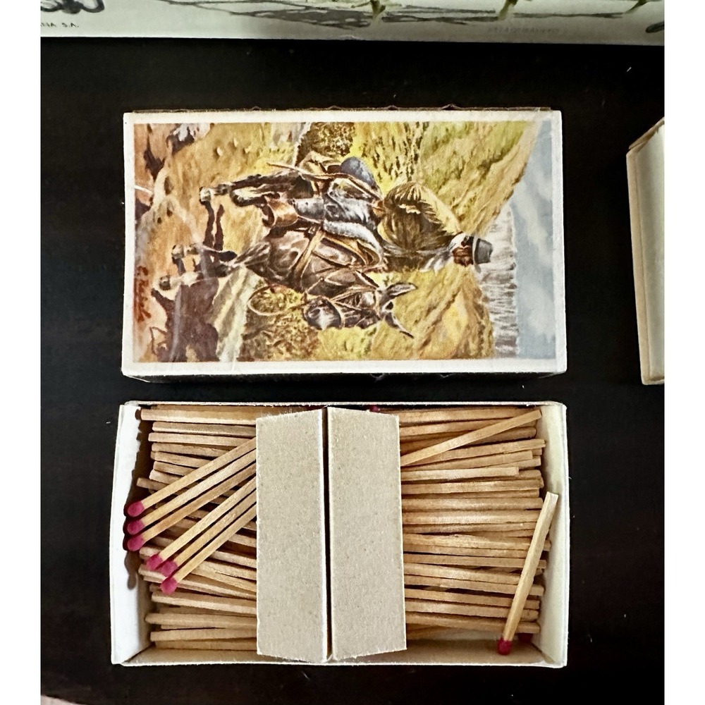 Vintage El Gaucho Argentino 20 Matchbox Presentation Set Enrique Rapela Rare - Picture 12 of 16